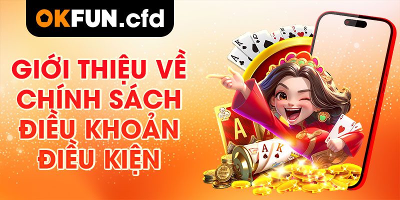Giới Thiệu Về Chính Sách Điều Khoản Điều Kiện