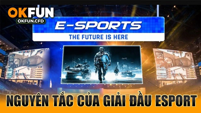 Nguyên tắc của giải đầu Esport